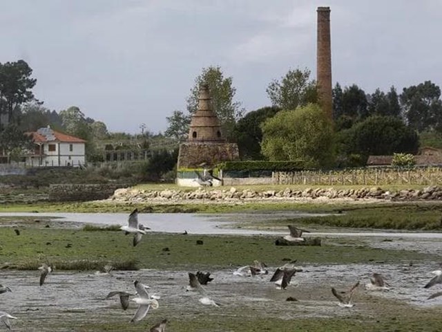 Das zonas húmidas e das migracións