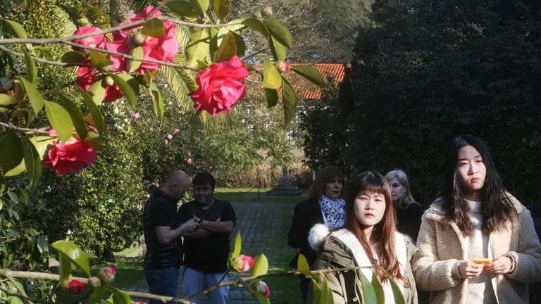 De camelias, magnolios e rododendros