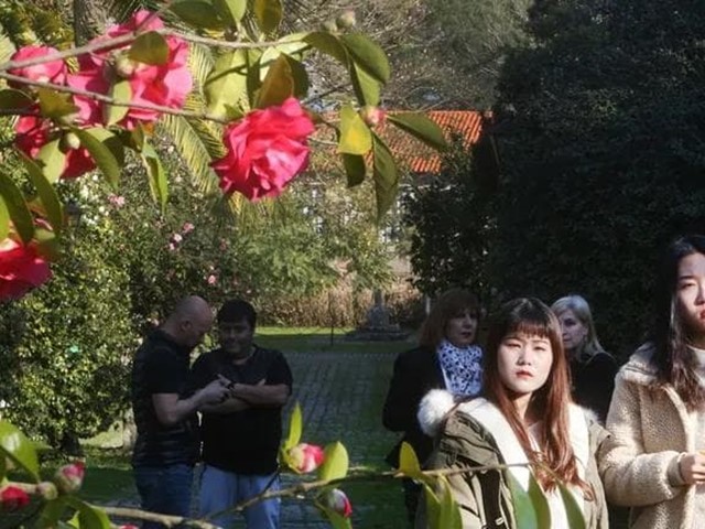 De camelias, magnolios e rododendros