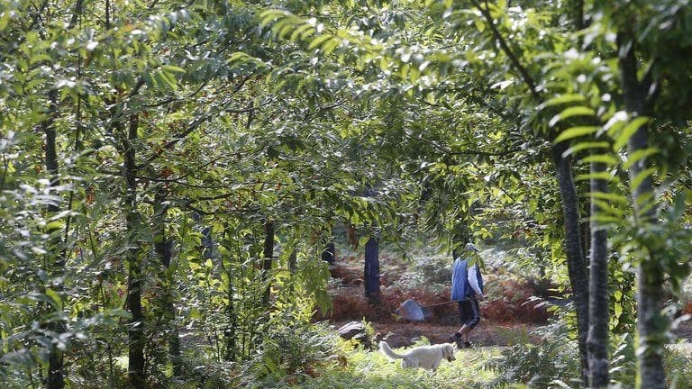 De comunidades de montes e toponimia