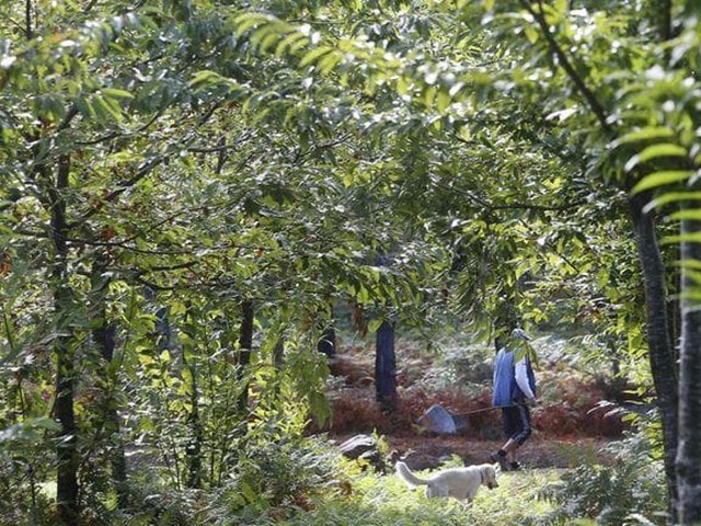 De comunidades de montes e toponimia