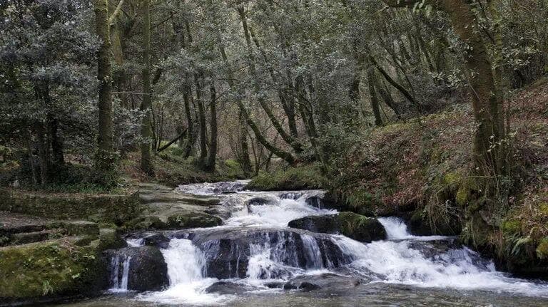 De «Por unha Constitución da Terra»