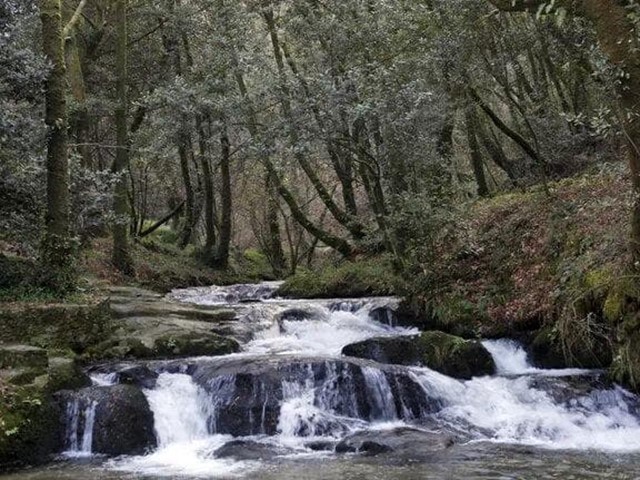 De «Por unha Constitución da Terra»