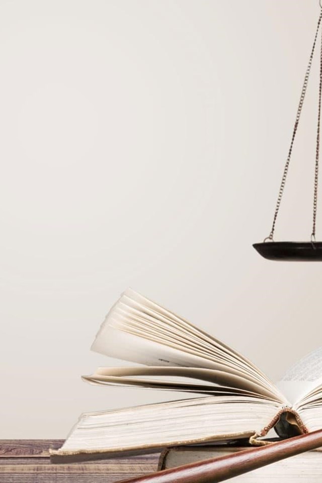 Diferentes ramas do dereito no Grove